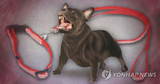 애완견 [연합뉴스]